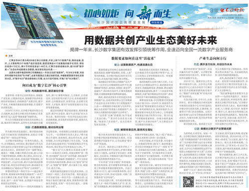 用數(shù)據(jù)共創(chuàng)產(chǎn)業(yè)生態(tài)美好未來——長(zhǎng)沙數(shù)字集團(tuán)全速邁向全國(guó)一流數(shù)字產(chǎn)業(yè)服務(wù)商